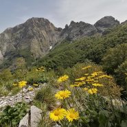 rifugio orto di donna panorama